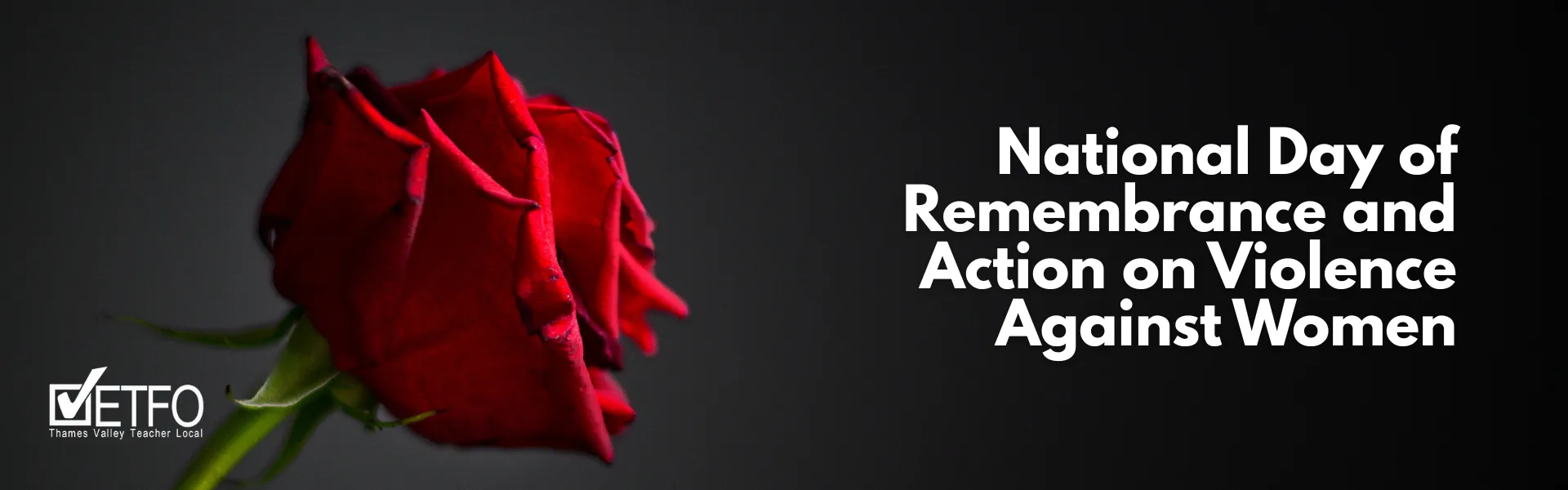 December 6: National Day of Remembrance and Action on Violence Against Women