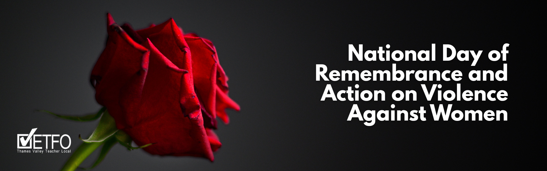 December 6: National Day of Remembrance and Action on Violence Against Women